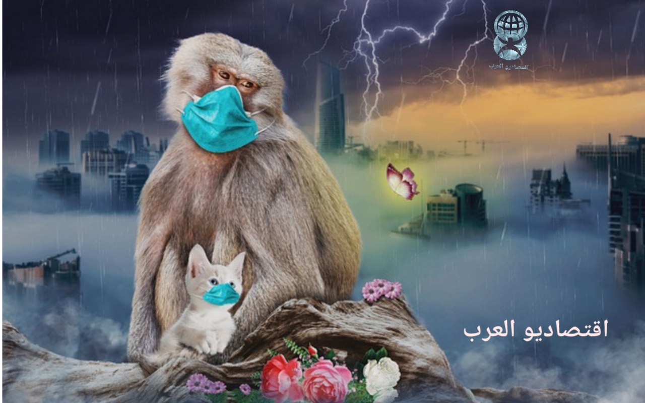 علاقة فيروس كورونا بالحيوانات وهل يصيبهم بالعدوى؟