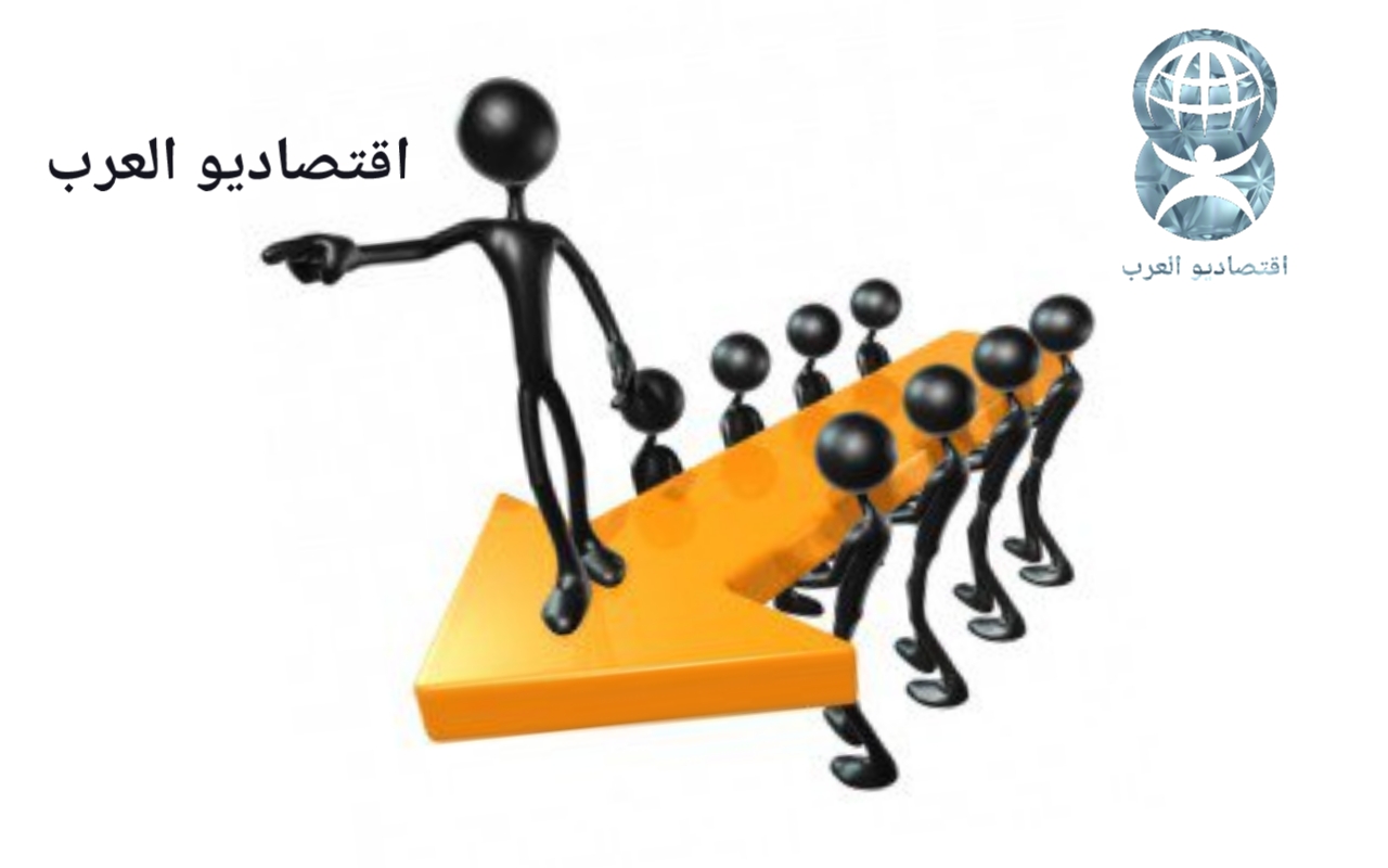 تاريخ موجز للاقتصاد المخطط